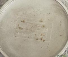 Original Beobachtungsuhr Luftwaffe aus Wk2