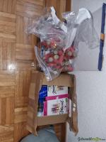 Div Munition laut Fotos