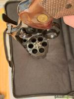 Colt Pyton .357 Magnum / 9x31mmR /.353 Casull