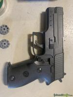 RWS Co2 Pistole C225 mit 10 Kartuschen und Diabolos