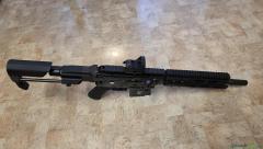 SIG Stgw57 PauliCustom