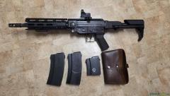 SIG Stgw57 PauliCustom