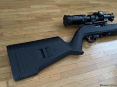 Ruger 10/22 Set, .22lr