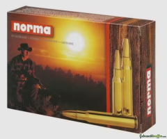 Lot de cartouches calibre 9.3x74R