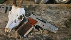 SIG-Sauer 226 Elite 9x19mm Parabellum/Luger/NATO