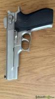 Smith & Wesson 4506 Pistole