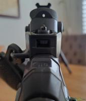 Stgw 90, SIG 550, FASS 90