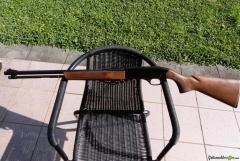 Winchester 290 .22 Long Rifle