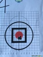 Savage Custom BCM F-CLASS .308 Winchester