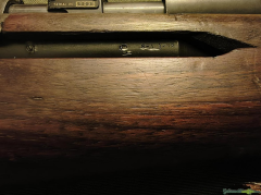 Springfield M1 Garand .30-06 Springfield
