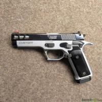 Pardini GT9 custom 9×19