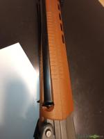 SIG-Sauer 550 .223 Remington
