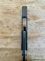AR-15 Battle Arms/Geissele + Eotech XPS 2-0