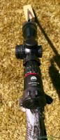 Bergara B14 (2) Crest mit Burris Eliminator 6