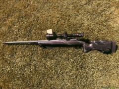 Bergara B14 (2) Crest mit Burris Eliminator 6