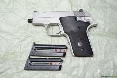 Smith & Wesson 2213 .22 LR Long Rifle