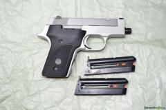 Smith & Wesson 2213 .22 LR Long Rifle