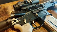 Springfield Armory SAINT Edge SBR 11.5