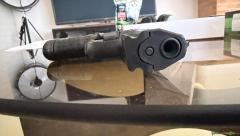 Walther P22
