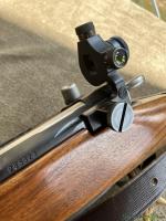 Karabiner 31