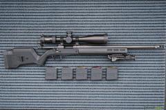 Remington 700 .308 Winchester
