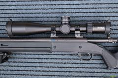 Remington 700 .308 Winchester