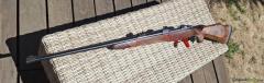 Zbrojovka Brno ZKK-602 .458 Winchester Magnum