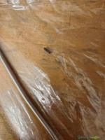 Gastube M4 Carbine Länge NEU Original verpackt