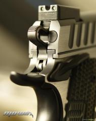 Kimber Rapide Dusk .45 ACP