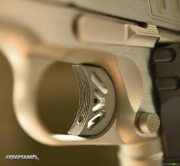 Kimber Rapide Frost .45 ACP