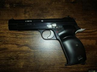 SIG-Sauer 210 / P49