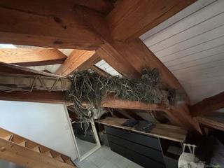 Custom Airsoft Sniper HPA / CO2 (Mancraft SDiK) + Victoptics Scope, Ghillie & Zubehör