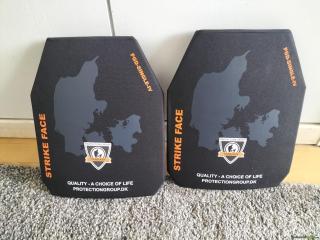 PGD Berserker LVL 4 Platten