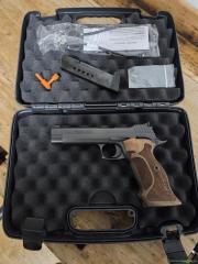Sig P210 Target
