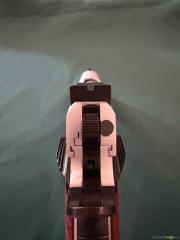 Tanfoglio Witness 1911 .45 ACP