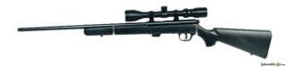 Savage Arms, Mark II FNSXP-SR (Swiss Edition), .22 LR